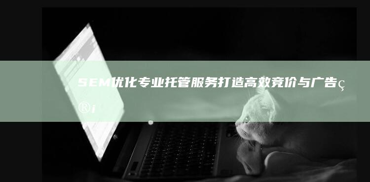 SEM优化专业托管服务：打造高效竞价与广告管理解决方案